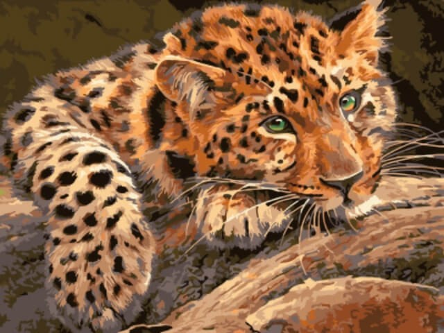 Картины по номерам Леопард EX5807 30х40 тм Цветной