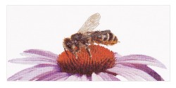Набор для вышивания THEA GOUVERNEUR арт.549A Пчела на эхинацее 45х21 см