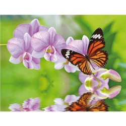 Картины мозаикой Molly арт.KM0723 Бабочка на ветке (12 цветов) 15х20 см