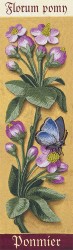 Набор для вышивания PANNA "Живая картина" арт. JK-2121 Ботаника. Яблоня 7х24,5 см