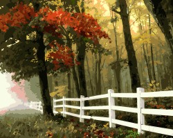 Картины по номерам с холстом на подрамнике ФРЕЯ арт.PNB-1 №22 Осенний лес 40х50 см