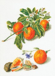 Набор для вышивания THEA GOUVERNEUR арт.3061 Апельсины и мандарины 33х45 см
