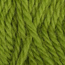 Пряжа для вязания КАМТ "Аргентинская шерсть" (100% импортная п/т шерсть) 10х100г/200м цв.130 липа