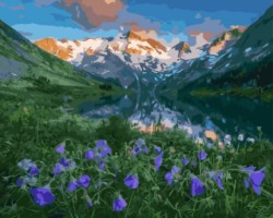 Картины по номерам Нежные цветы среди гор GX5696 40х50 тм Цветной