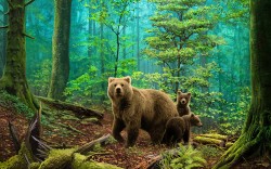 Алмазная мозаика Ah5331 Медведи в лесу 50х80
