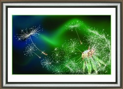 Набор ЧМ арт. КС-1018 для изготовления картины со стразами Crystal Art Дуновение ветра 30х42 см упак (1 шт)