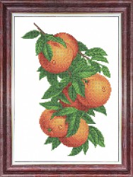 Рисунок на ткани КАРОЛИНКА арт. КБЦ-3057 Ветка с апельсинами 26х36 см