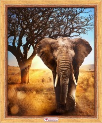 Набор для изготовления картин "АЛМАЗНАЯ ЖИВОПИСЬ" арт.АЖ.1783 «Африканский слон» 40х50 см