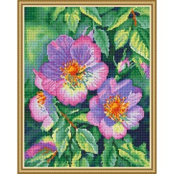 Картина мозаикой с нанесенной рамкой Molly арт.KM1046 Дикая роза (32 цвета) 40х50 см
