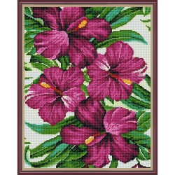 Картина мозаикой с нанесенной рамкой Molly арт.KM1043 Тропические цветы (25 цветов) 40х50 см