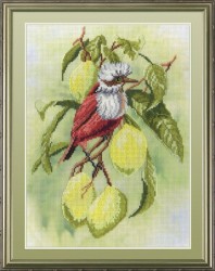 Набор для вышивания с рисунком на канве МП СТУДИЯ арт.РК-301 Птичка на ветке лимона 20х30 см упак (1 шт)