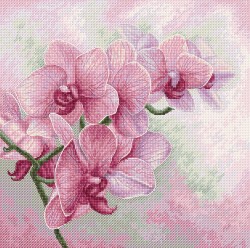 Набор для вышивания LUCA-S арт. B7009 Изящные орхидеи 25х25 см