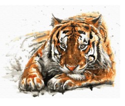 Картина по номерам с цветной схемой на холсте Molly арт.KK0685 Амурский тигр 30х40 см