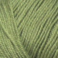 Пряжа для вязания ПЕХ "Кроссбред Бразилия" (50% шерсть, 50% акрил) 5х100г/490м цв.478 защитный