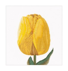 Набор для вышивания THEA GOUVERNEUR арт.522 Желтый тюльпан 34х36 см