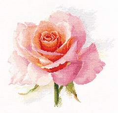 Набор для вышивания АЛИСА арт.2-40 Дыхание розы. Нежность 24х24 см