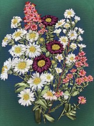 Набор для вышивки лентами КАРОЛИНКА арт. КЛ-4003(н) Полевые цветы 18,5х25,5 см