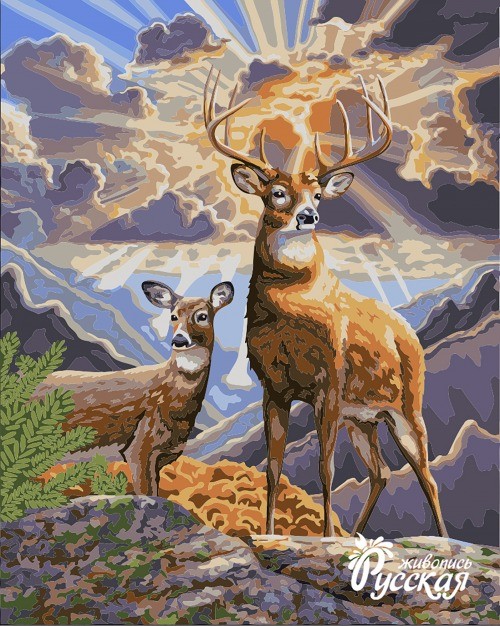 Картины по номерам Русская Живопись ФТ.H062 Северные олени 40х50 см упак
