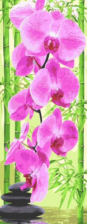 Картина по номерам с цветной схемой на холсте Molly арт.KHS0009 Панно. Розовая орхидея (23 цвета) 35х90 см