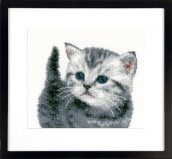Набор для вышивания VERVACO арт.PN-0153747 Серый котёнок 21х20 см