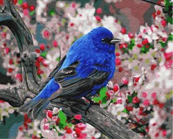 Картины по номерам Синяя птица счастья GX23193 40х50 тм Цветной упак (1 шт)