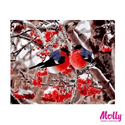 Картины по номерам Molly арт.KH0606 Снегири (25 цветов) 40х50 см