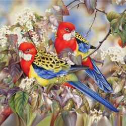 Набор Колор Кит мозаичная картина арт.КК.404007 Райские птички 40х40