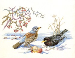 Набор для вышивания EVA ROSENSTAND арт.12-543 Птицы и яблоко 35х45 см