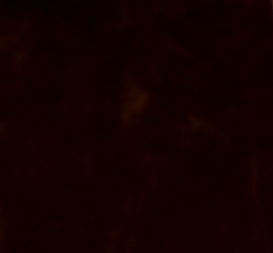 Замша искусственная двухсторонняя арт.КЛ.21884 20х30см, т.коричневый уп.2листа