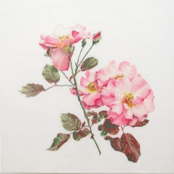 Набор для вышивания THEA GOUVERNEUR арт.412 Розовая роза 44х44 см