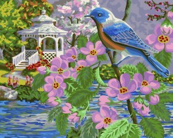 Картины по номерам с холстом на подрамнике ФРЕЯ арт.PNB-1 №129 Райская птица 40х50 см