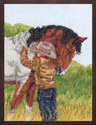 Набор для вышивания JANLYNN арт.008-0209 Любимый конь 23х30,5 см