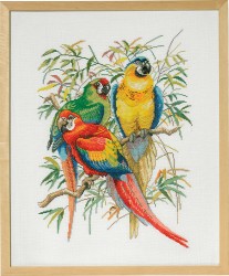 Набор для вышивания EVA ROSENSTAND арт.972-292 Попугаи 44х55 см