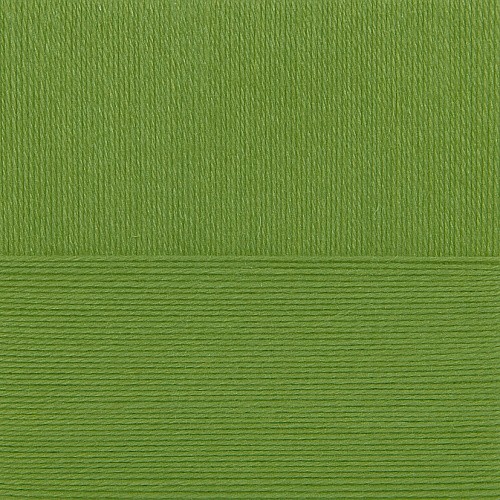 Пряжа для вязания ПЕХ "Школьная" (100% акрил) 5х50г/150м цв.434 зеленый