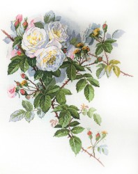 Набор для вышивания МАРЬЯ ИСКУСНИЦА арт.06.002.45 Белые розы, по рисунку П. де Лонгпре 45х50 см